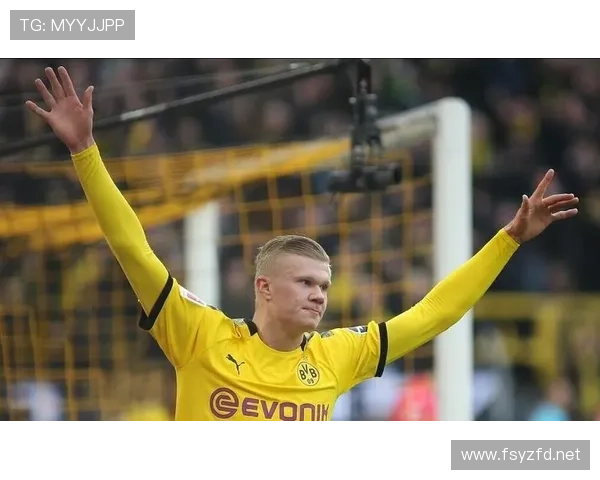 哈兰德是“吃饼”前锋还是现代中锋典范:战术角色与进球效率分析 哈兰德是“吃饼”前锋还是现代中锋典范:战术角色与进球效率分析