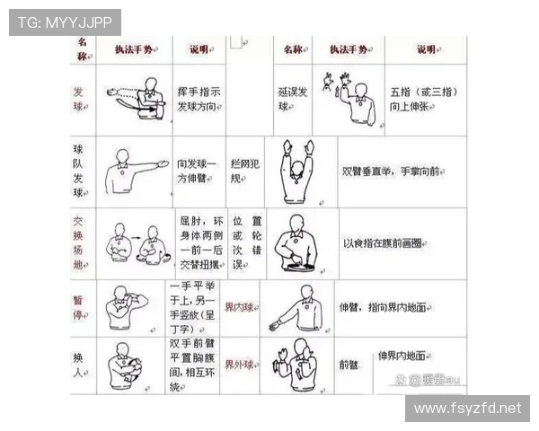 裁判判罚手势全解析：这些动作到底代表什么规则？
